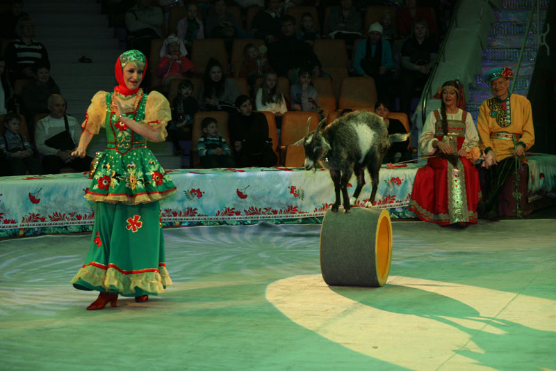 Цирк В Минске Новогодняя Программа