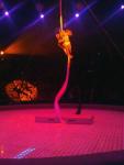 IMG_20131011_143547.jpg