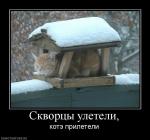 213714_skvortsyi_uleteli.jpg
