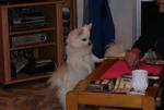 DSC00215.JPG