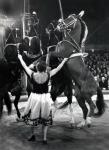 Вера ВОЛКОВА. Свобода Ахалтекинцев (8).jpg