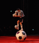 12123.gif