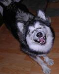 image020.jpg