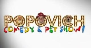 Григорий Попович. Рекламный ролик. Popovich Comedy Pet Theater