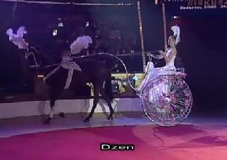 Dzen. Дрессура лошадей. Кабриолет