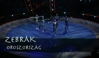 Zebrak. Щербак. Акробаты-вольтижеры