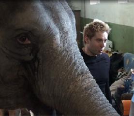 Андрей Дементьев-Корнилов о слонах. Andrei Dementyev-Kornilov about his elephants.