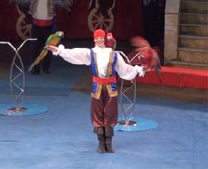 Олег Хотим Экзотические попугаи. Oleg Want Exotic Parrots