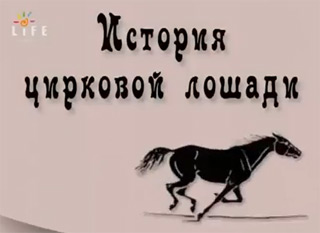 Фильм. История цирковой лошади