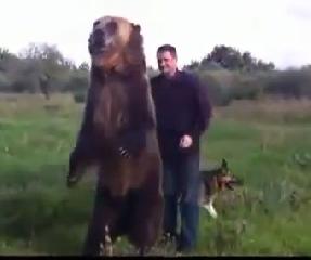 Чудеса медведя Тимы на природе