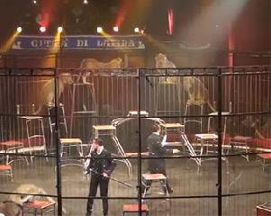 Redy e Denny Montico. International Circus Festival «City of Latina».Рени и Дени Монтико Львы и тигры. 15 Международный фестиваль циркового искусства в Латине