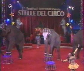 1 Международный фестиваль в Вероне Звезда цирка 1992 г. 2 часть. 1 Festival Internazionale di Verona Stella del Circo