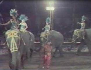 Цирковая программа 3 часть. Circgues du Monde. Circo Americano 1973