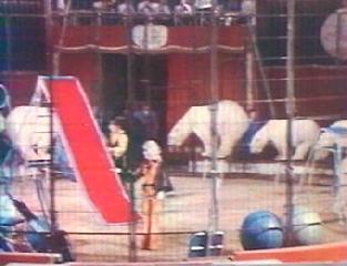 Цирковая программа. 2 часть. Cirgues du Monde. Le Cirque Jean Richard. 1973
