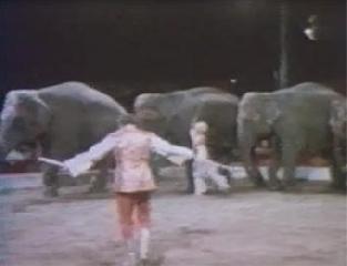  . 2 . Cirgues du Monde. Le grande cirque BUSCH. 1973 