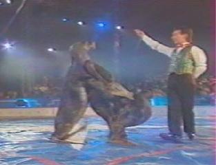 Всемирный фестиваль в Масси 1997. 3 часть. Festivai International Du Cirgue de Massy 1997