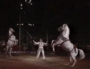 Свобода лошадей 1 часть. История мирового цирка. Франсуа Бронетт. History of the circus. Liberty horses. Francois Bronett Histoire du cirque. François Bronett