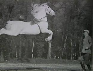 Свобода лошадей 2 часть. История мирового цирка. Франсуа Бронетт. History of the circus. Liberty horses. Francois Bronett Histoire du cirque. François Bronett