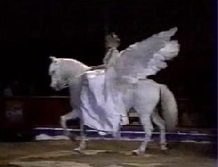 5 Цирковой фестиваль в Монте-Карло 1990 г. 3 часть.15 Festival di Monte Carlo