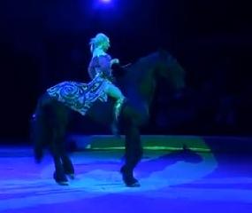 Анастасия Стыкан « Эльфория», свобода лошадей, Россия/Anastasiya Stykan «Elforia