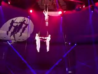    /  .Flying trapeze 