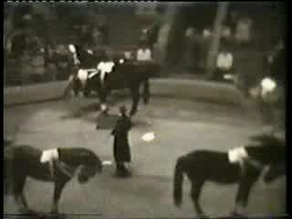 Сводоба лошадей - Георгий Зинченко 1962 год