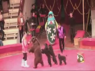 Безматерных А.Н. Ярмарка. Дрессированные медведи и собаки. Магнитогорск март 2010