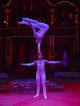 DSC06864.jpg