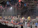 barnum__1_.jpg