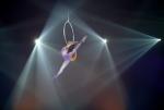 IMG_6565.jpeg