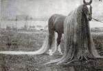 Linus_Pan_American_Exposition___Buffalo__NY___1901.jpg