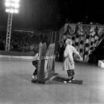 Grimailo-Yashukov-41.jpg