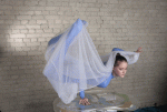 sarach1.gif