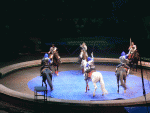 kamelot_1.gif