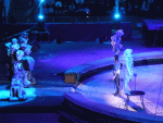 kamelot__159_.gif
