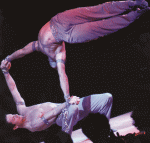 IMG_0001.gif