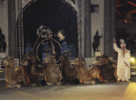 IMG_0008.gif