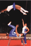 IMG_0007.gif