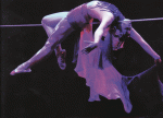 IMG_0010.gif