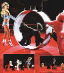 IMG_0019.gif