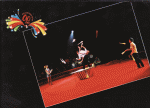 IMG_007346.gif