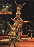 IMG__222.gif