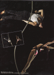 _35.gif