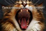 61442.jpg