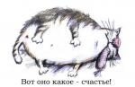 thefun_ru_140626.jpg