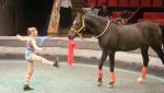 DSC02100.JPG