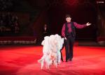 DSC08774.jpg