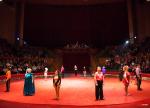 DSC08188.jpg