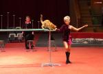 DSC09018.jpg