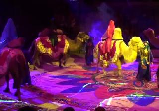 Аттракцион «Восточные фрески» пр Тиграна Акопяна (Армения) Attraction “Oriental frescos” Trainer Tigran Akopyan (Armenia)